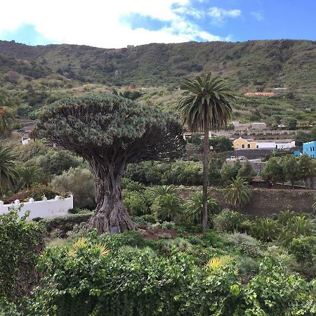 #Ocean View Studio #Wifi Icod De Los Vinos Exteriér fotografie