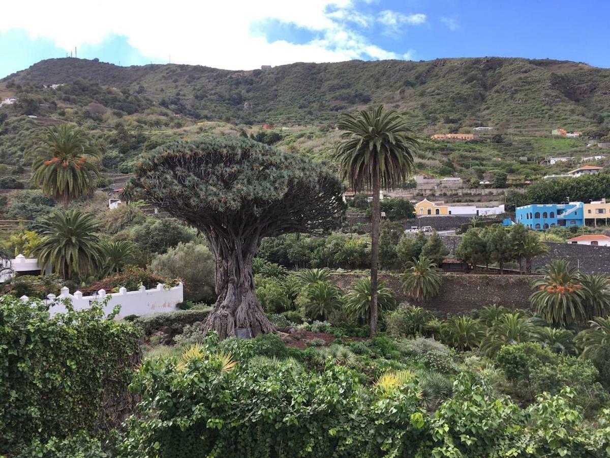 #Ocean View Studio #Wifi Icod De Los Vinos Exteriér fotografie